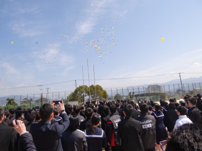 DSC00513