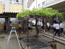 ３年身体計測 (14)