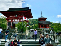 876BF874-A0D2-4468-A660-628E4D58C99F