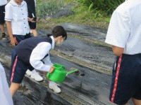 1-2移植 (1)