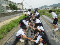 1-7移植 (2)