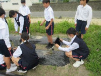 1-7移植 (4)