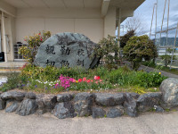0402花 (4)