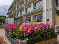 0402花 (1)