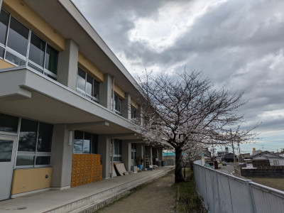 0402花 (7)
