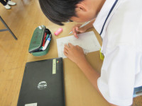 IMG_2772[1]