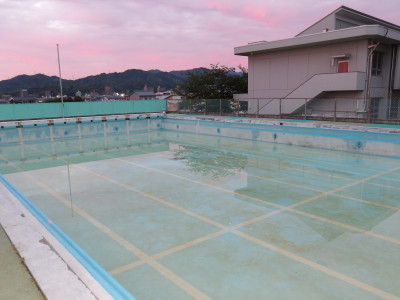 IMGP0248