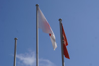 DSC06846