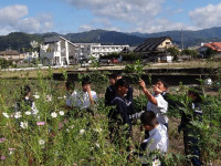 1-3片付け (1)