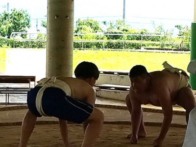 相撲２-1