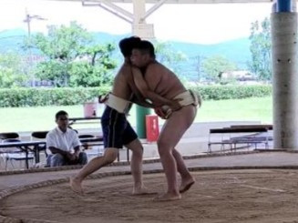 相撲４-1