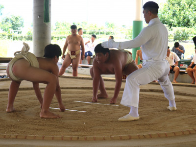 相撲 (17)