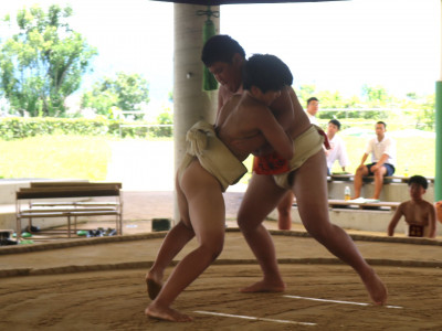 相撲 (20)