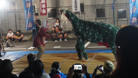 DSC07841