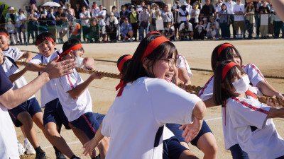 DSC07932