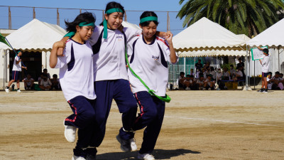 DSC08089