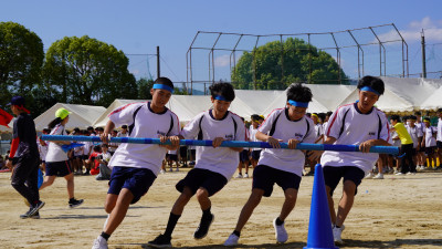 DSC08291
