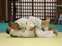 柔道 (50)