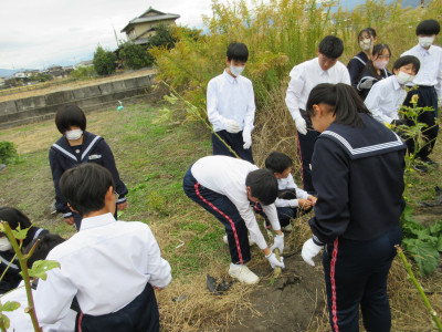 オクラ片付け（1-5） (5)