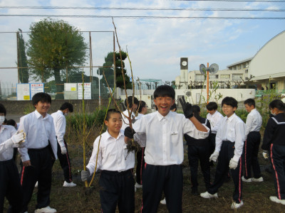 オクラ片付け（1-1） (6)