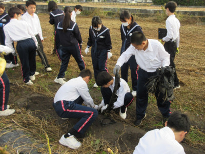 オクラ片付け（1-1） (12)