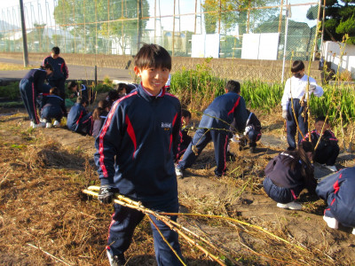 オクラ片付け（1-2） (10)