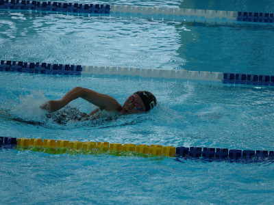 DSC05390
