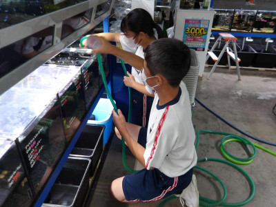 アミーゴ