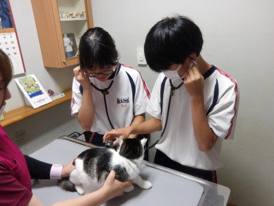 らいおん動物病院