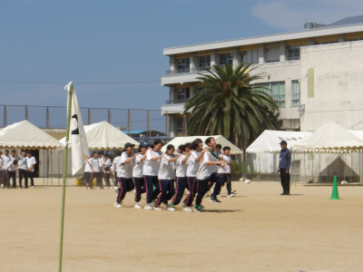 IMGP0105