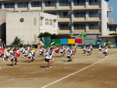 IMGP0024