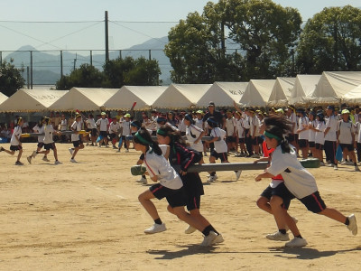 IMGP0062